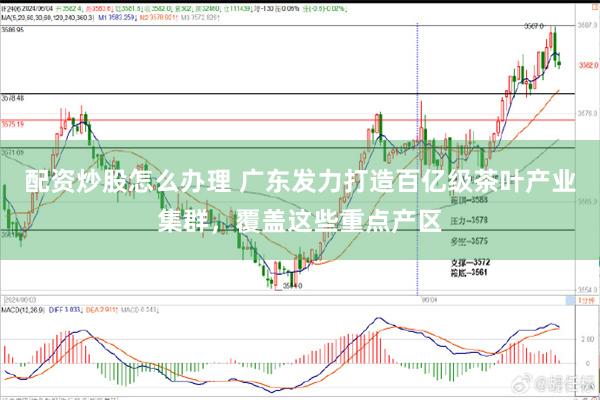配资炒股怎么办理 广东发力打造百亿级茶叶产业集群，覆盖这些重点产区