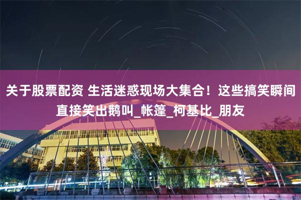 关于股票配资 生活迷惑现场大集合！这些搞笑瞬间直接笑出鹅叫_帐篷_柯基比_朋友