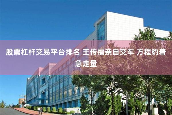 股票杠杆交易平台排名 王传福亲自交车 方程豹着急走量