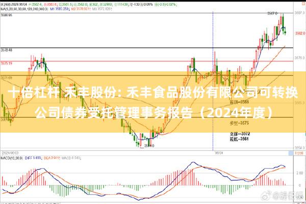 十倍杠杆 禾丰股份: 禾丰食品股份有限公司可转换公司债券受托管理事务报告（2024年度）