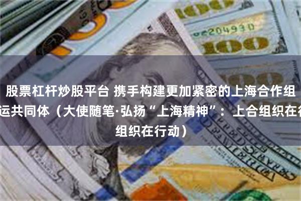 股票杠杆炒股平台 携手构建更加紧密的上海合作组织命运共同体（大使随笔·弘扬“上海精神”：上合组织在行动）