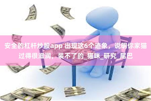 安全的杠杆炒股app 出现这6个迹象，说明你家猫过得很滋润，装不了的_猫咪_研究_尾巴