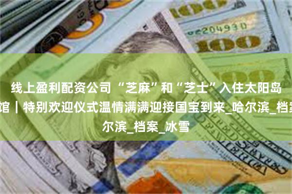 线上盈利配资公司 “芝麻”和“芝士”入住太阳岛大熊猫馆｜特别欢迎仪式温情满满迎接国宝到来_哈尔滨_档案_冰雪