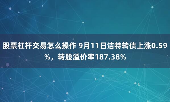 股票杠杆交易怎么操作 9月11日洁特转债上涨0.59%，转股溢价率187.38%