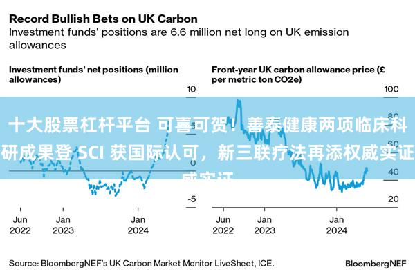 十大股票杠杆平台 可喜可贺!善泰健康两项临床科研成果登 SCI 获国际认可,新三联疗法再添权威实证