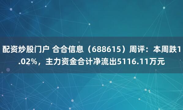 配资炒股门户 合合信息（688615）周评：本周跌1.02%，主力资金合计净流出5116.11万元